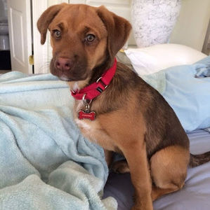 Meet your Posher, Daniel